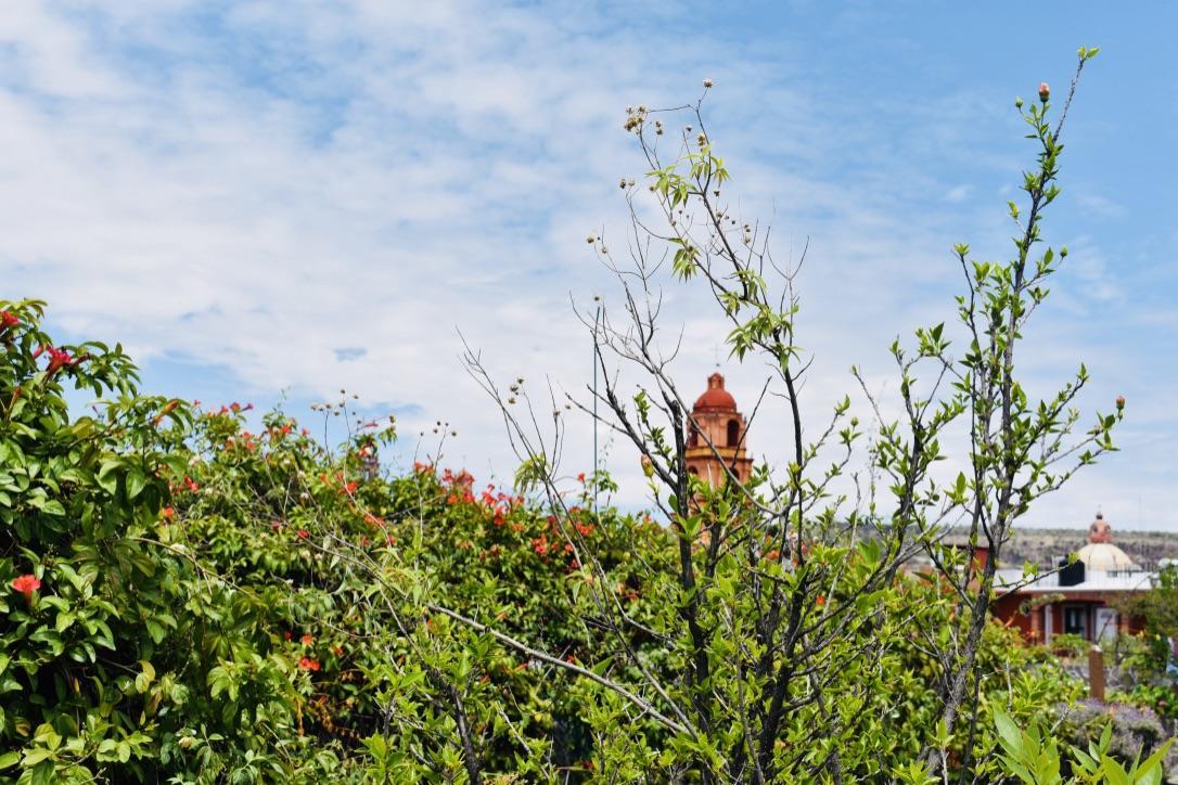 Apartmán Casa Relox 23 San Miguel de Allende Exteriér fotografie